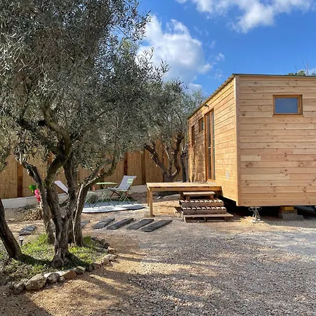 La Tiny House Des Oliviers Et Son Jacuzzi Mouries
