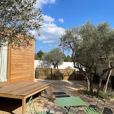 La Tiny House Des Oliviers Et Son Jacuzzi