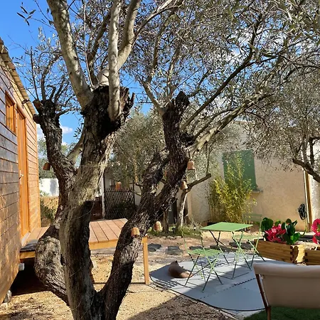 Apartment La Tiny House Des Oliviers Et Son Jacuzzi *