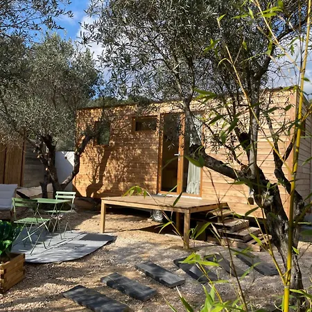 La Tiny House Des Oliviers Et Son Jacuzzi *